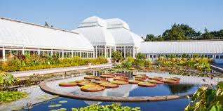 New York botanical garden